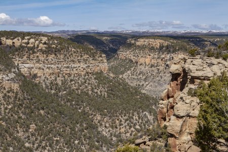 Mesa Verde Colorado